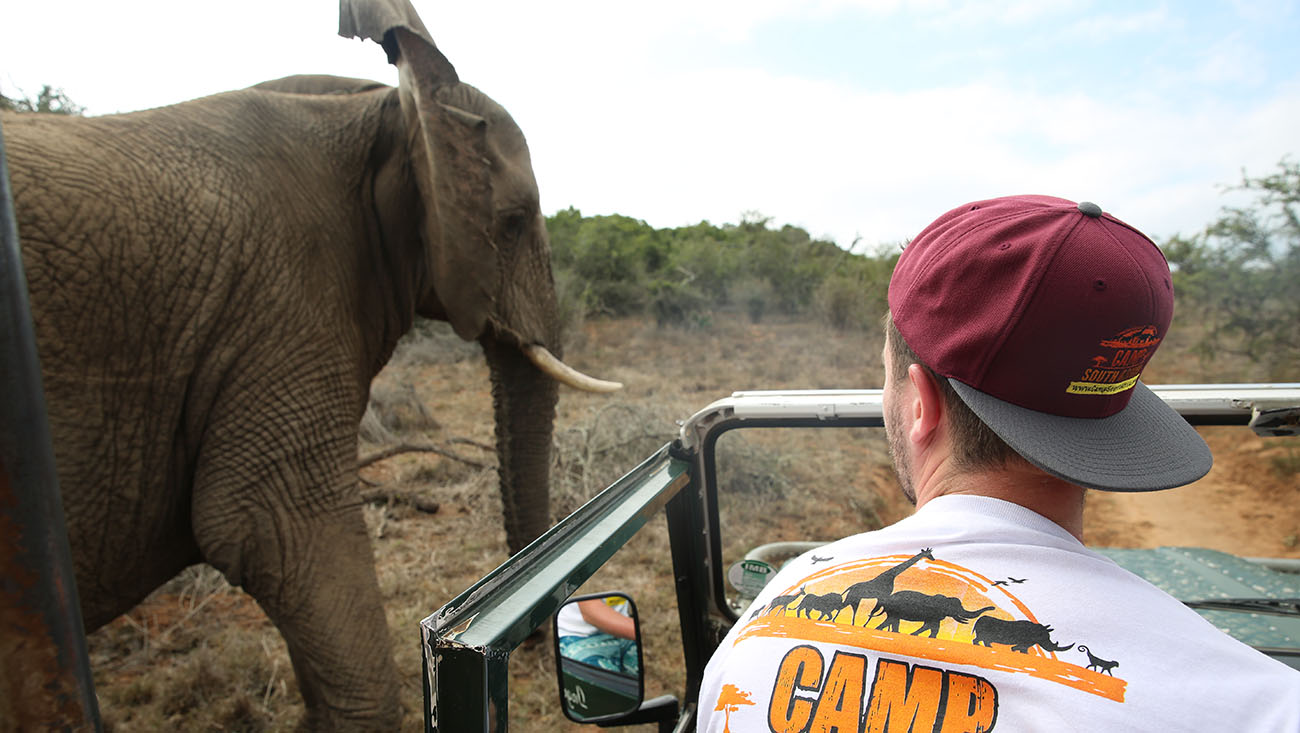 Animal Conservation - Camp South Africa